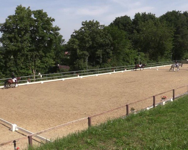 Reitturnier Letmathe 2025