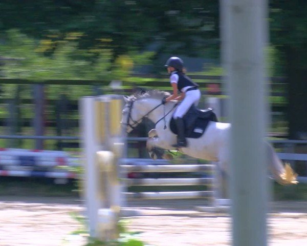Reitturnier Coesfeld/Lette 2025