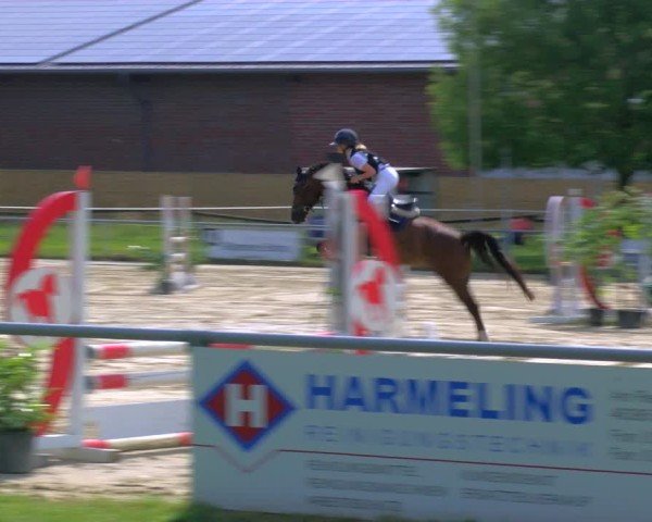 Reitturnier Coesfeld/Lette 2025