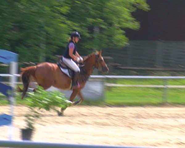 Reitturnier Coesfeld/Lette 2025