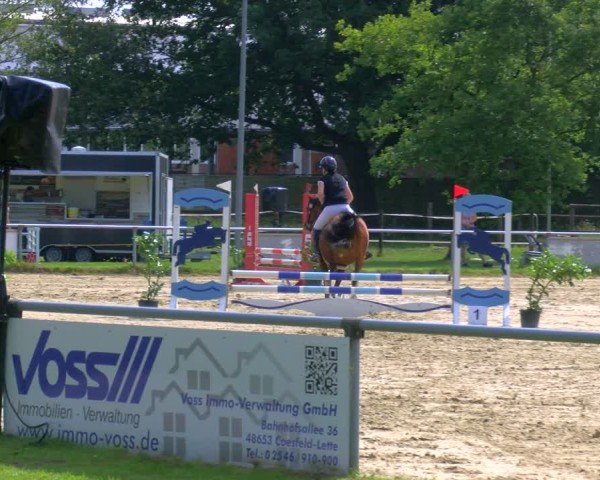 Reitturnier Coesfeld/Lette 2025