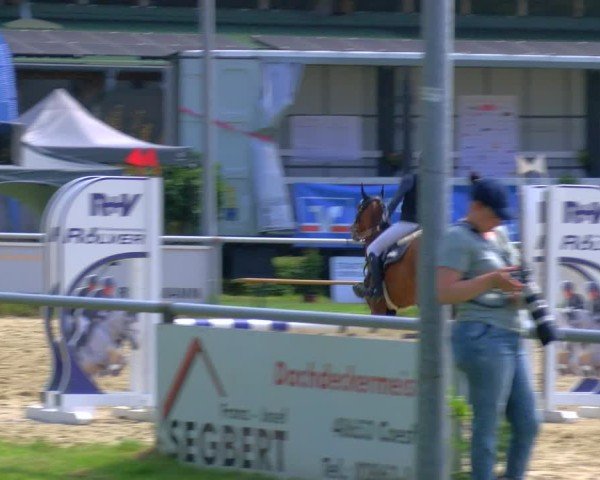 Reitturnier Coesfeld/Lette 2025