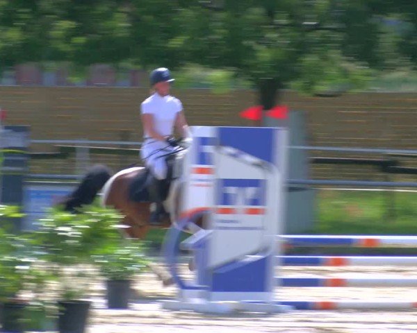 Reitturnier Coesfeld/Lette 2025