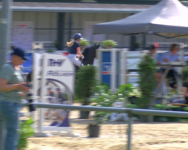 Reitturnier Coesfeld/Lette 2025