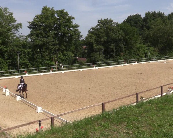 Reitturnier Letmathe 2025