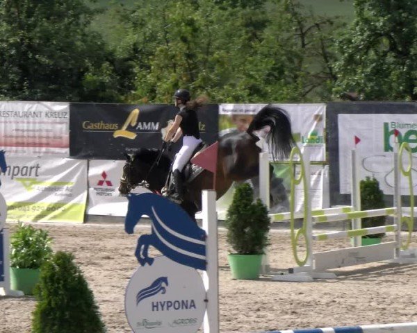 Reitturnier Ruswil 2025