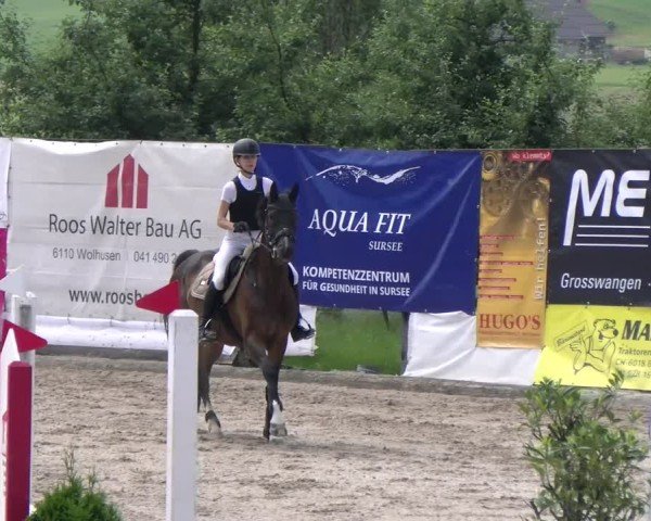 Reitturnier Ruswil 2025