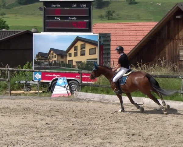 Reitturnier Ruswil 2025