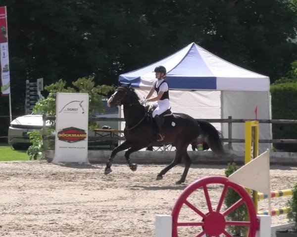 Reitturnier Ruswil 2025