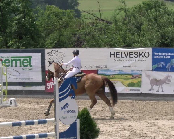 Reitturnier Ruswil 2025