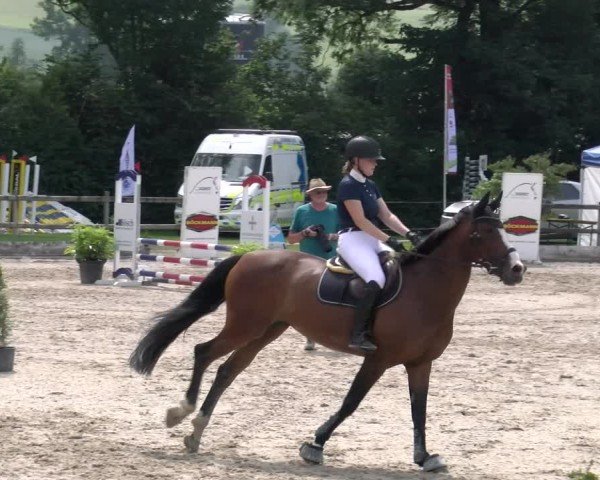 Reitturnier Ruswil 2025