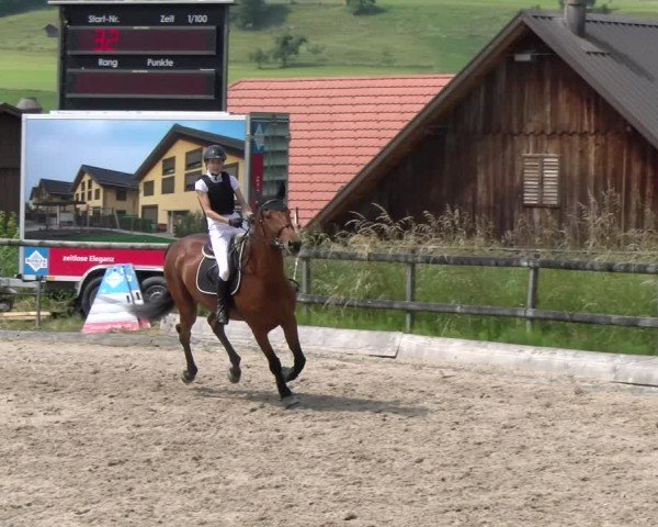 Reitturnier Ruswil 2025