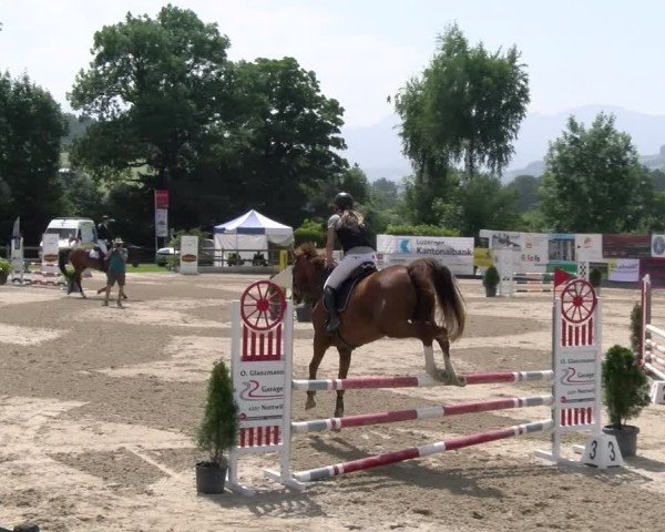 Reitturnier Ruswil 2025