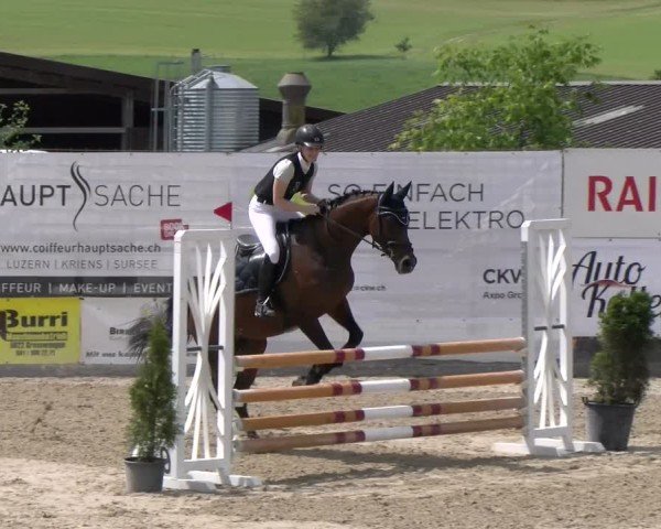 Reitturnier Ruswil 2025