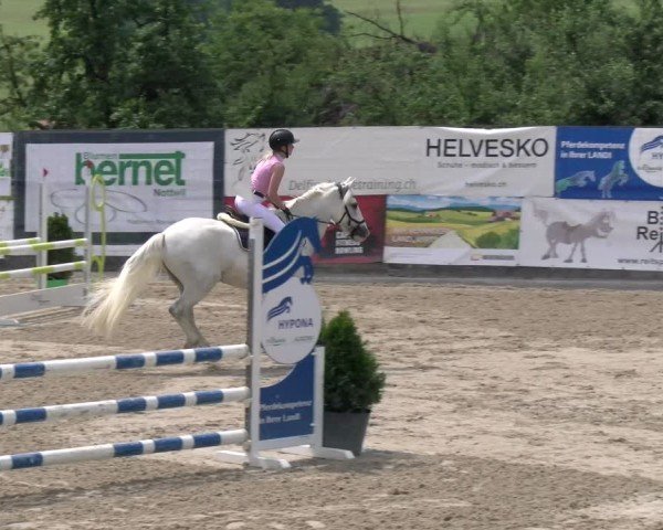 Reitturnier Ruswil 2025