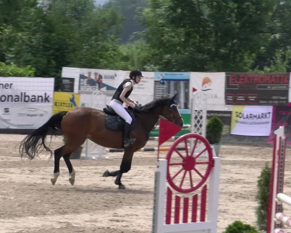 Reitturnier Ruswil 2025