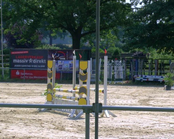 Reitturnier Coesfeld/Lette 2025