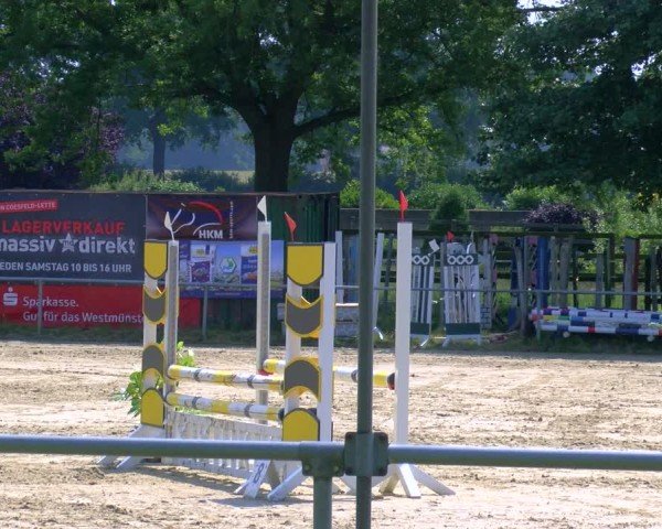 Reitturnier Coesfeld/Lette 2025