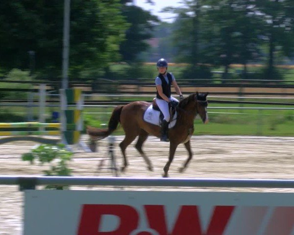 Reitturnier Coesfeld/Lette 2025