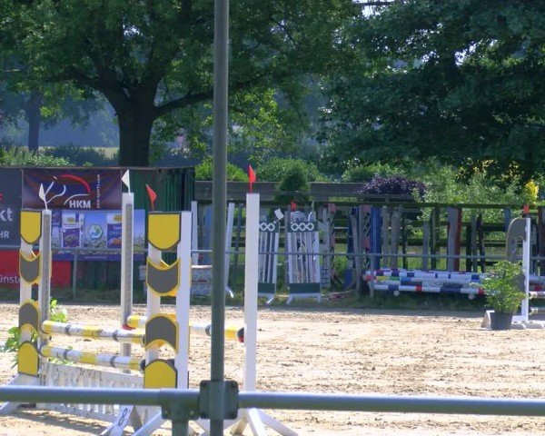 Reitturnier Coesfeld/Lette 2025