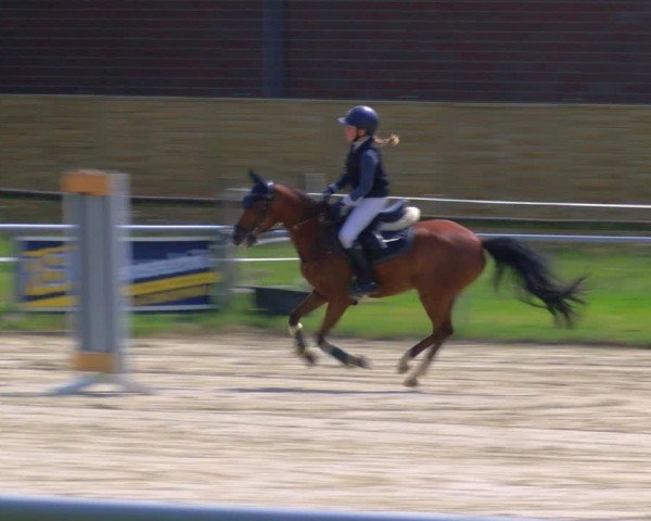Reitturnier Coesfeld/Lette 2025