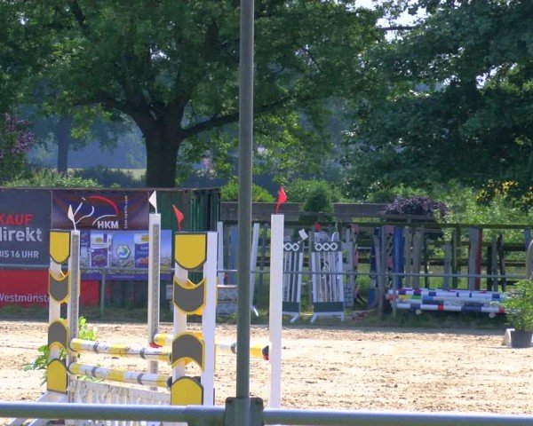 Reitturnier Coesfeld/Lette 2025