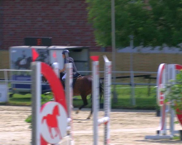 Reitturnier Coesfeld/Lette 2025