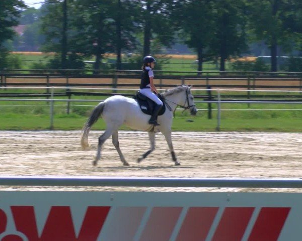 Reitturnier Coesfeld/Lette 2025