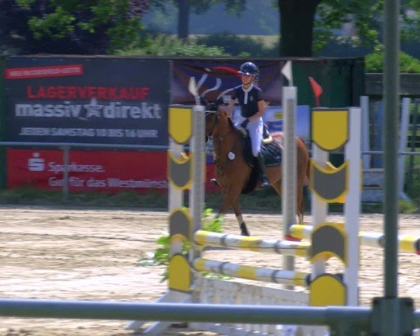 Reitturnier Coesfeld/Lette 2025