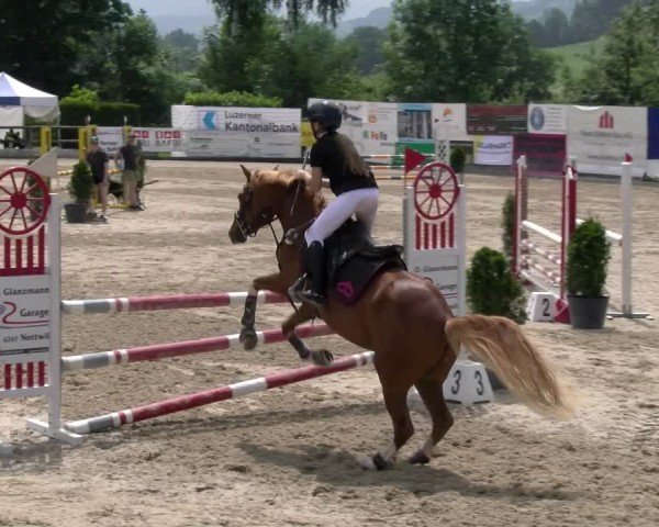 Reitturnier Ruswil 2025