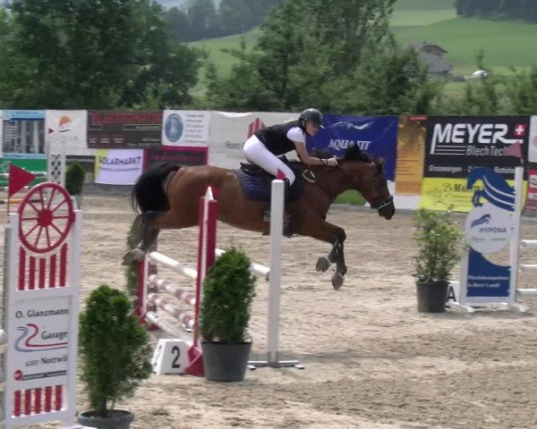 Reitturnier Ruswil 2025