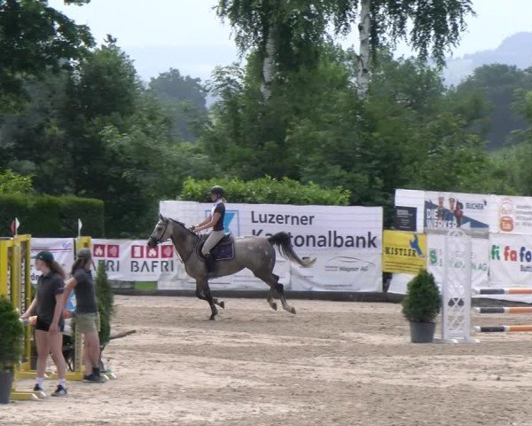Reitturnier Ruswil 2025