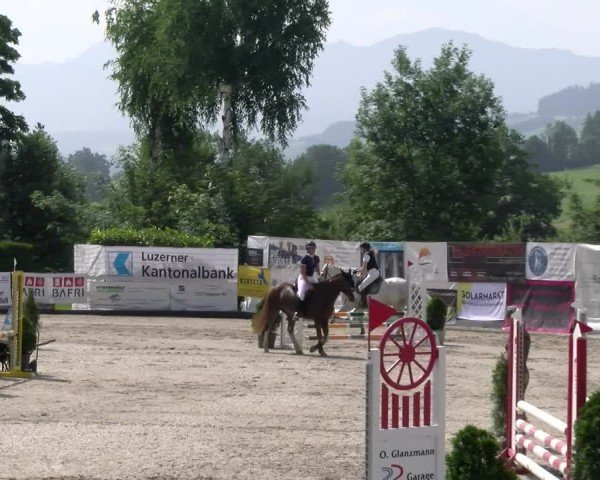 Reitturnier Ruswil 2025
