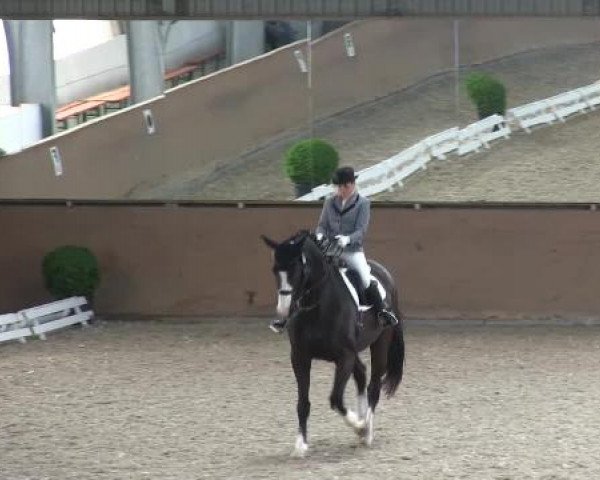 Bonn - Gut Ettenhausen 2014