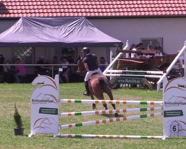 Reitturnier Wingerode 2025