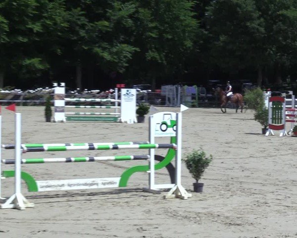 Reitturnier Letmathe 2025
