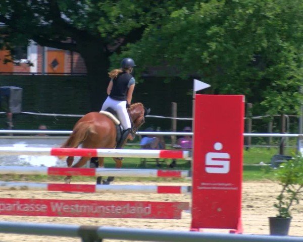 Reitturnier Coesfeld/Lette 2025