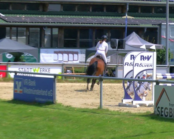 Reitturnier Coesfeld/Lette 2025