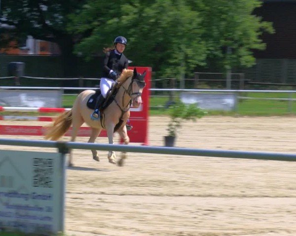 Reitturnier Coesfeld/Lette 2025