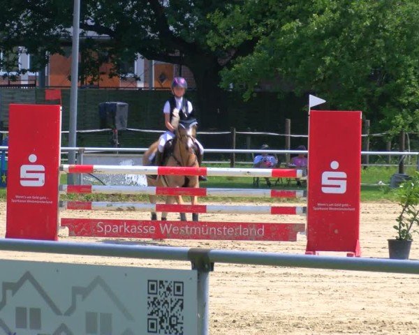 Reitturnier Coesfeld/Lette 2025