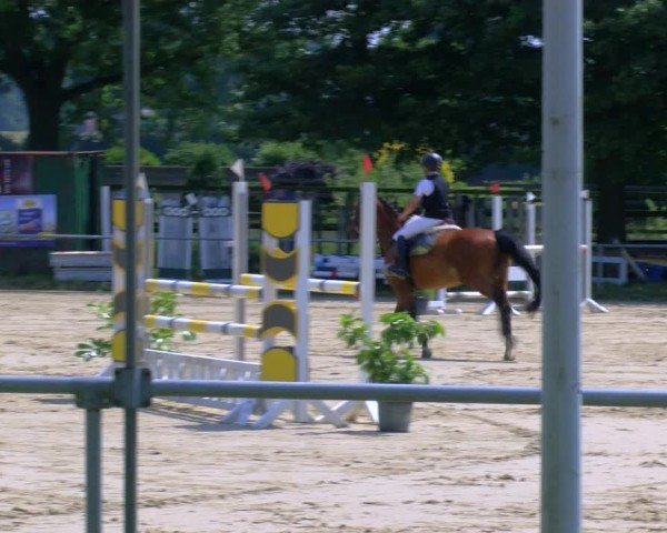 Reitturnier Coesfeld/Lette 2025