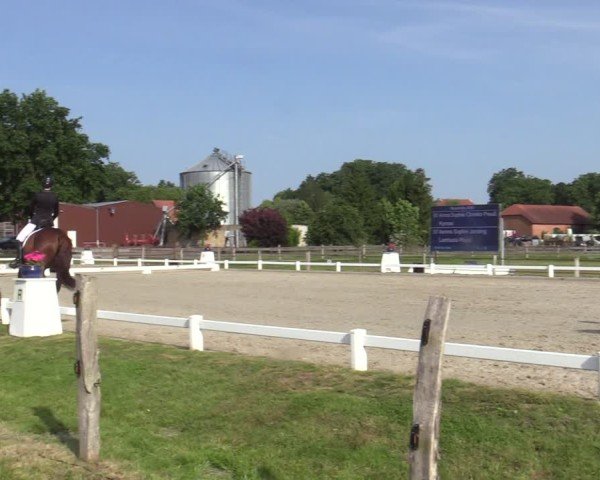 Reitturnier Brockhöfe 2025