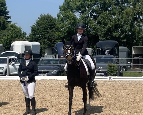 Dressurpferd Cambara 4 (Deutsches Reitpony, 2016, von Kastanienhof Kentaur WE)