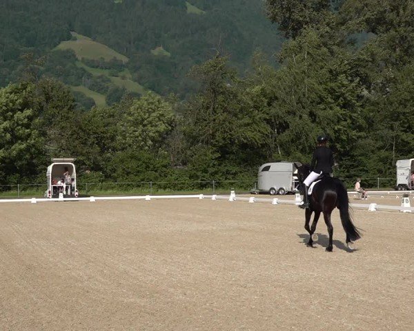 Reitturnier Maienfeld 2025