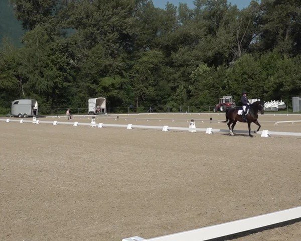 Reitturnier Maienfeld 2025
