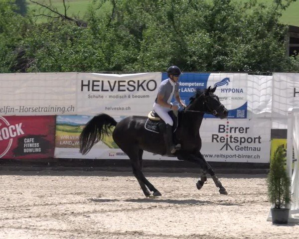 Reitturnier Ruswil 2025