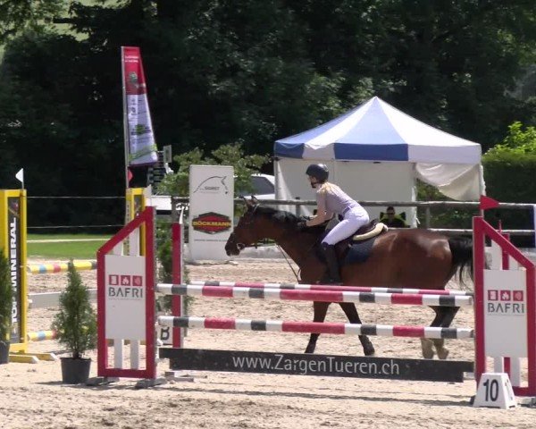 Reitturnier Ruswil 2025