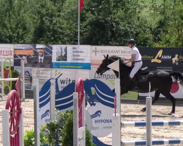 Reitturnier Ruswil 2025