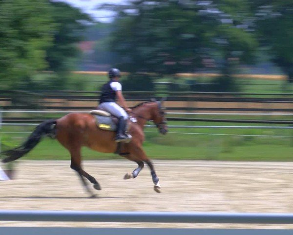 Reitturnier Coesfeld/Lette 2025