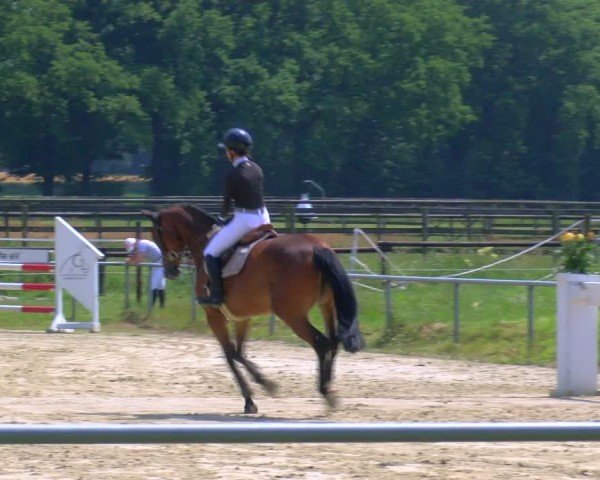 Reitturnier Coesfeld/Lette 2025